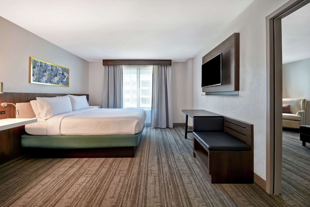 Room, 1 King Bed, Accessible, Bathtub (Mobility & Hearing)