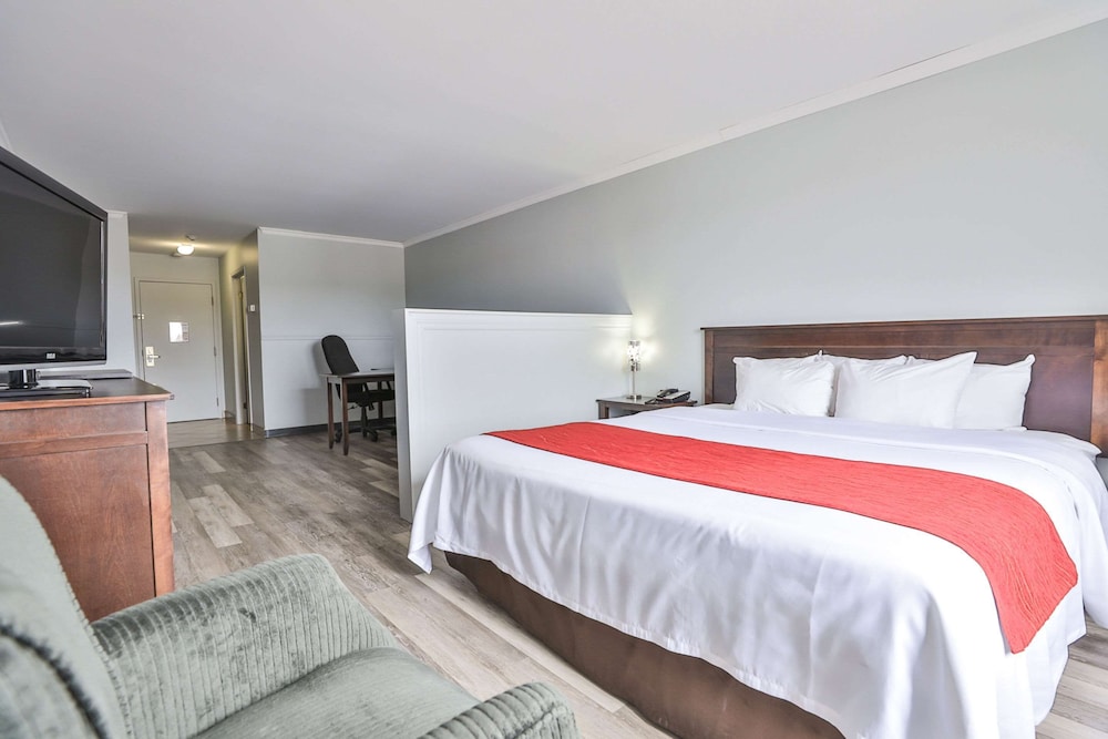 Business Suite, 1 King Bed with Sofa bed, Non Smoking photo 1