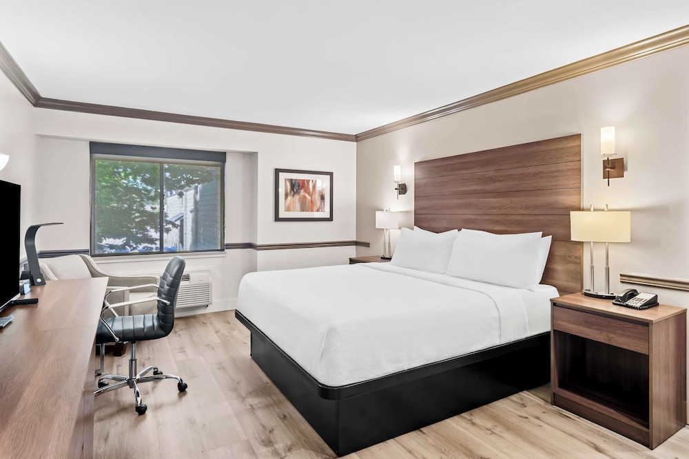 Standard Room, 1 King Bed, Non Smoking, Refrigerator & Microwave - Photo 1