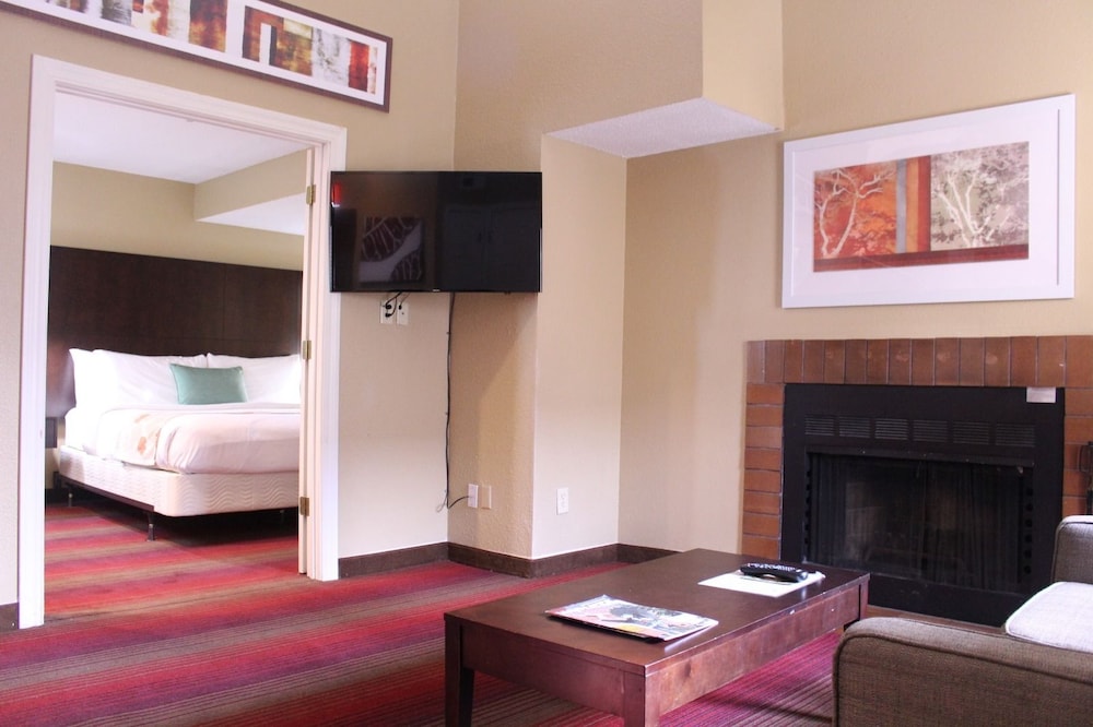 Suite, Multiple Beds, Non Smoking (Two-Bedroom) - Photo 14