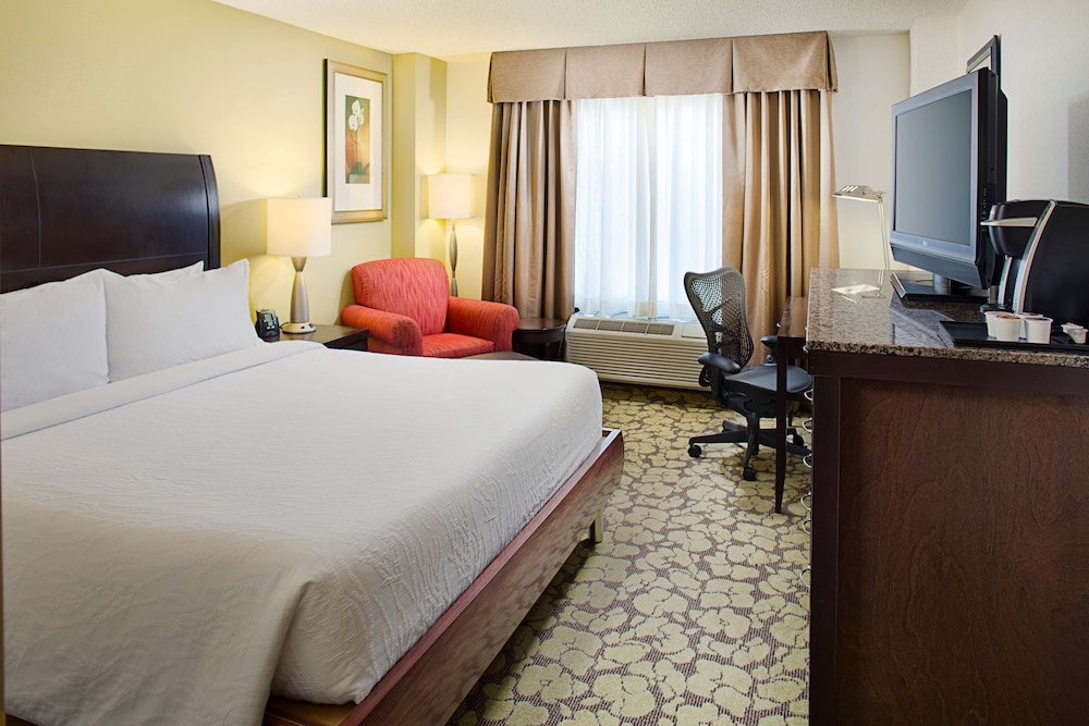King Deluxe Evolution Suite photo 1