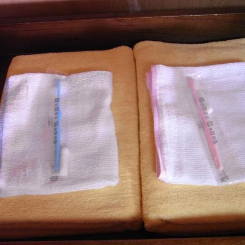 Japanese Style Room, 10 Tatami-mats, Smoking photo 2