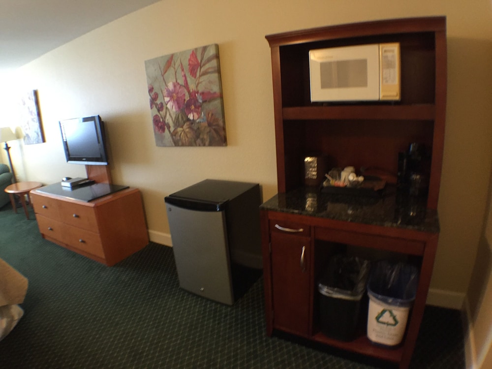 Superior Room, 1 King Bed, Balcony, Lake View photo 3
