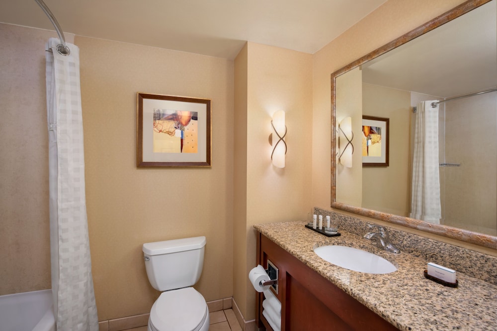 Suite, Accessible, Non Smoking - Photo 5