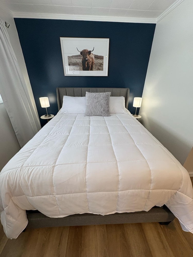 Comfort Single Room photo 2