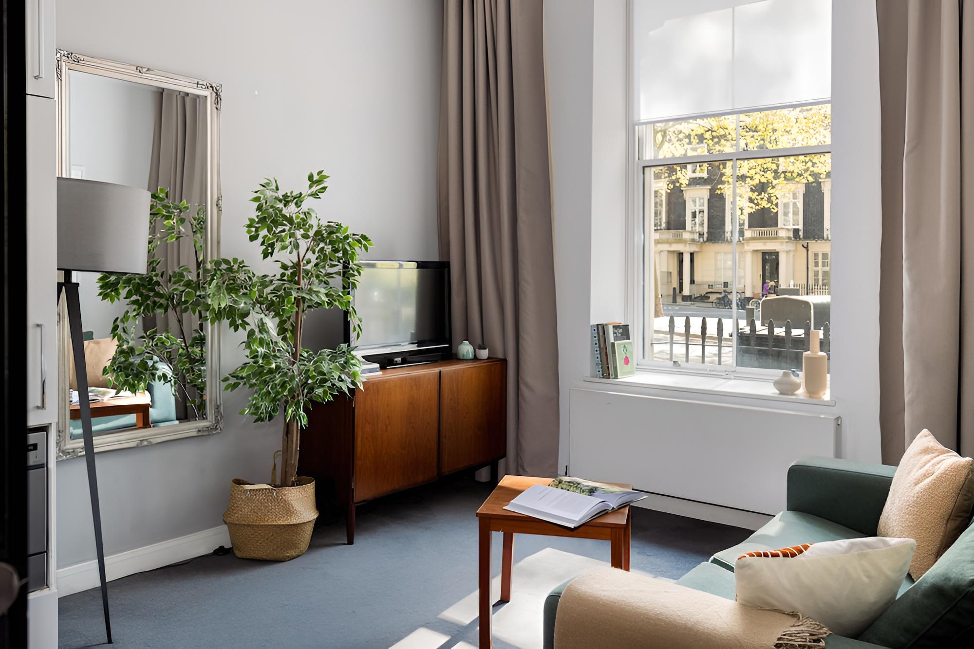 One Bedroom Apartment photo 2