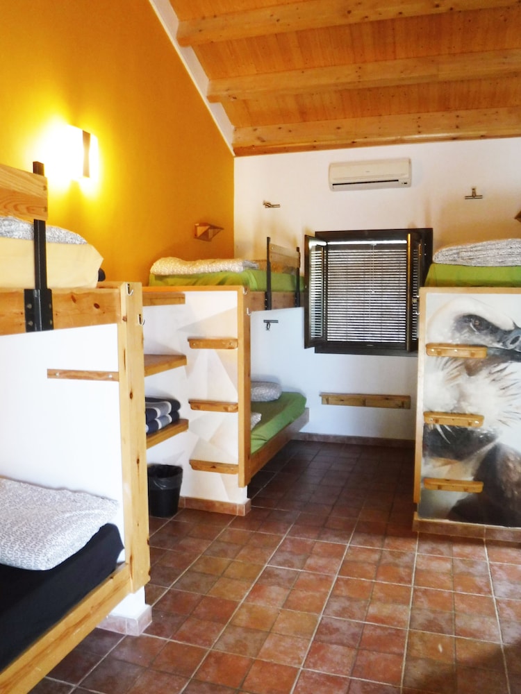 Habitación Compartida, Dormitorio Mixto, Baño Compartido (1 cama en una habitación de 6 - Colungo)