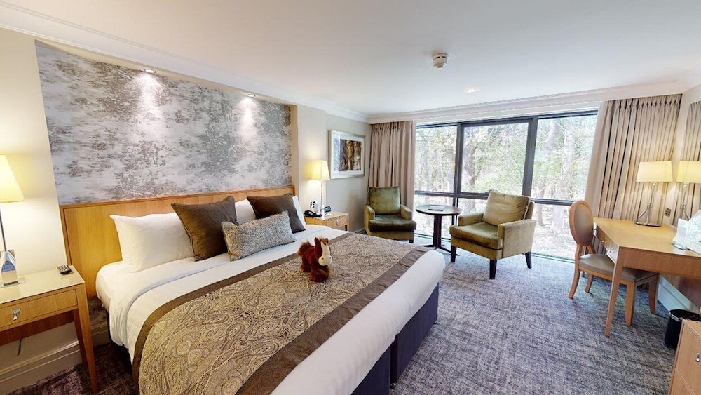 Superior Double or Twin Room photo 1