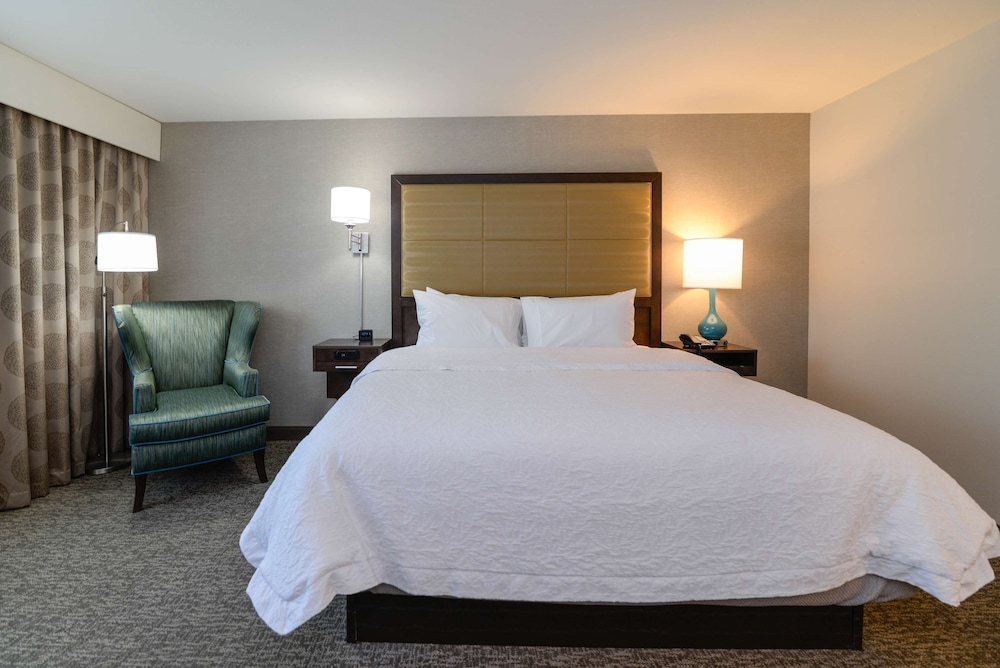 Room, 1 King Bed, Accessible (Hearing) photo 3