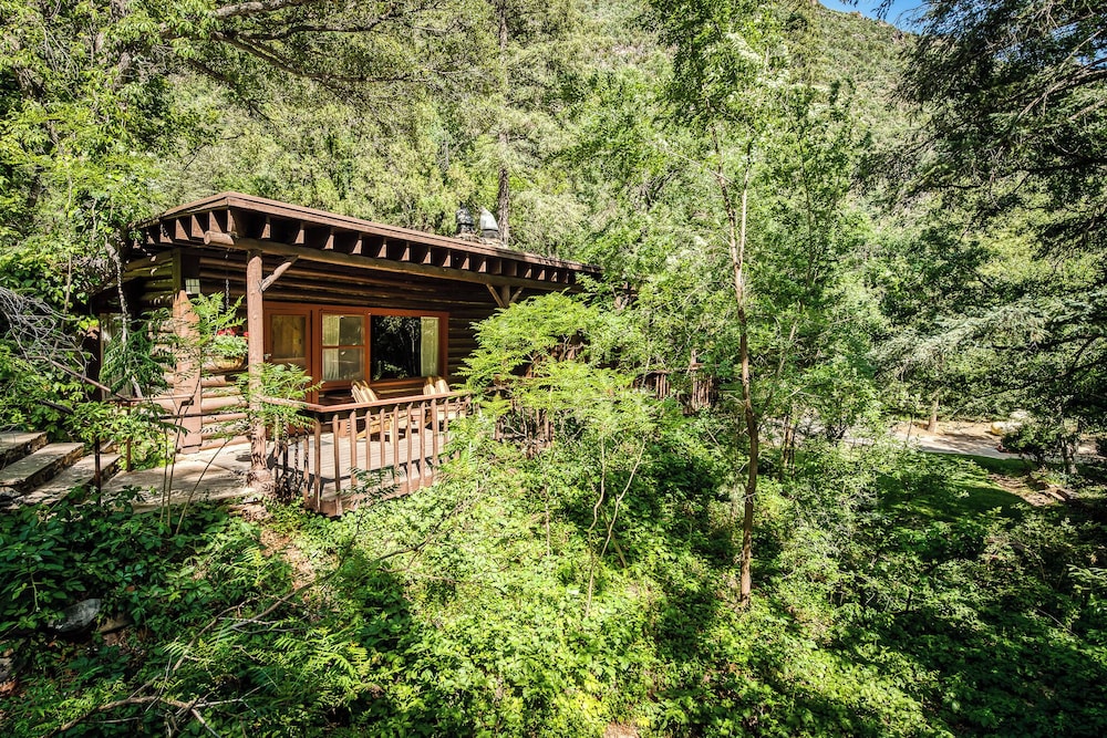 Cabin 10