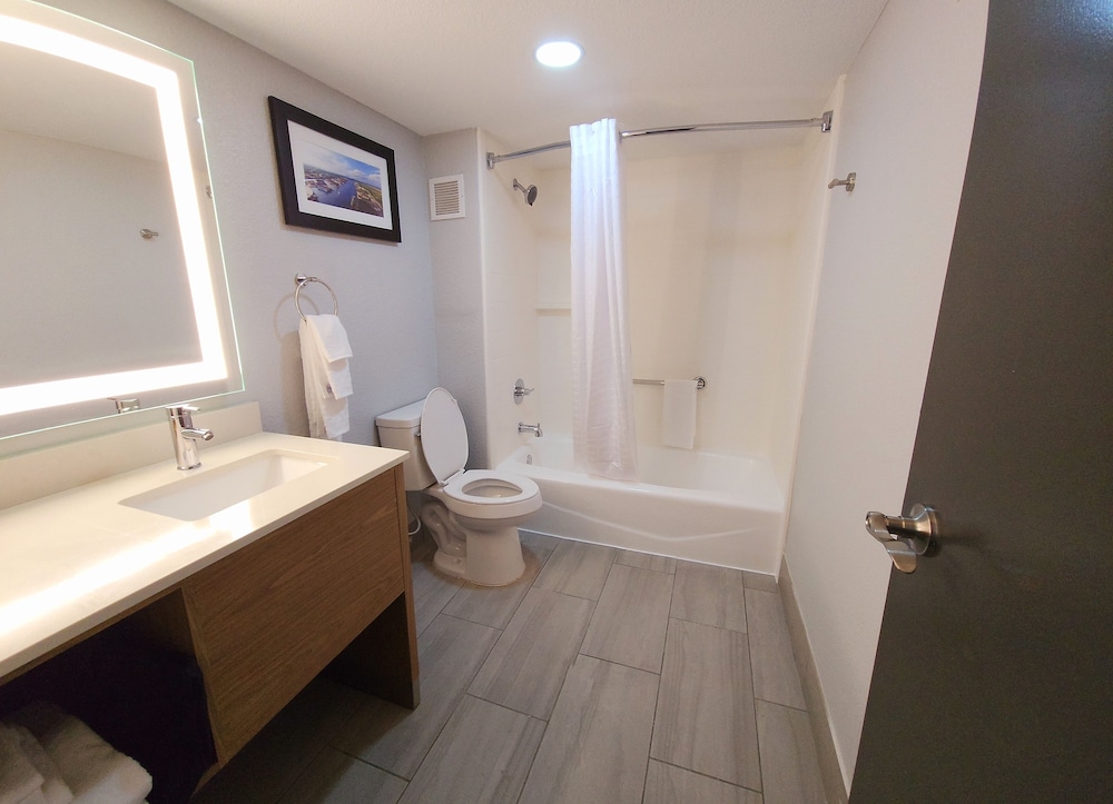 Standard Room, 1 King Bed, Non Smoking, Refrigerator & Microwave - Photo 4