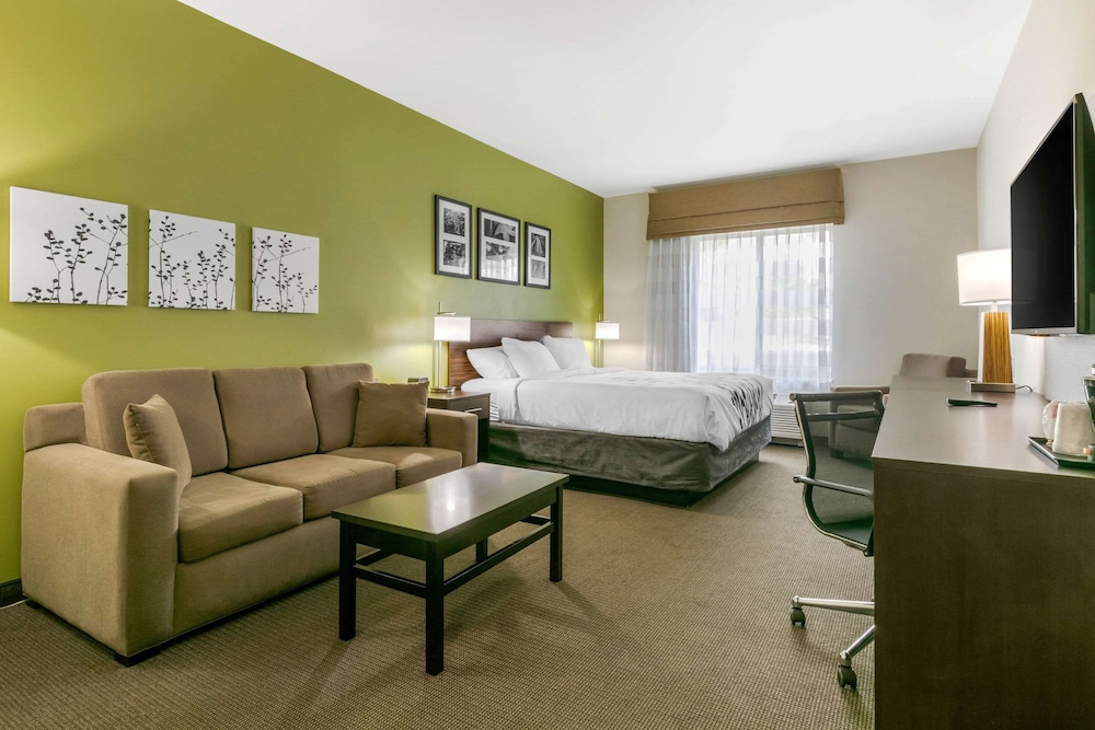 Suite, 1 King Bed with Sofa bed, Non Smoking photo 1