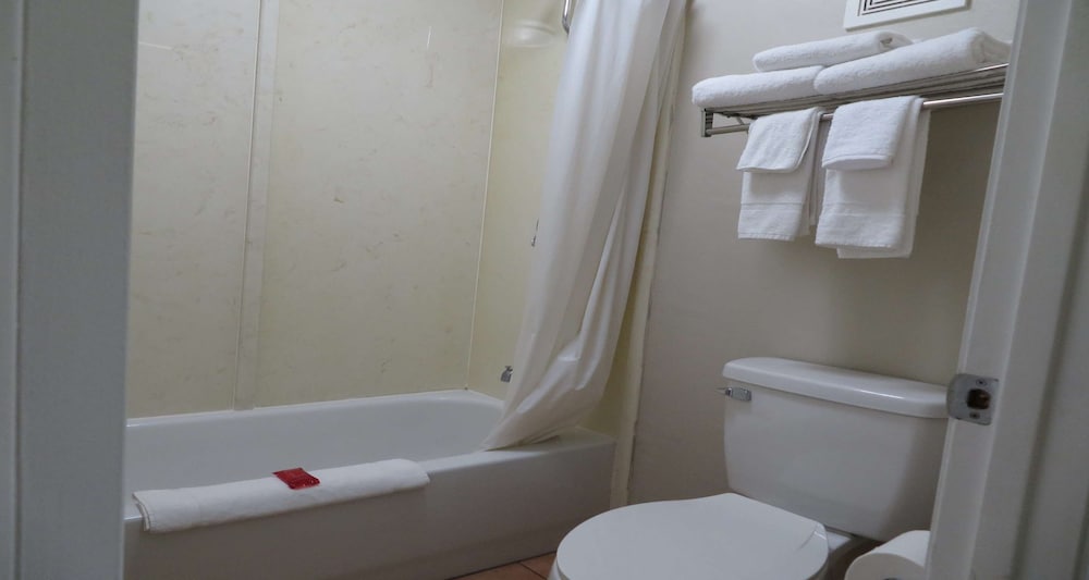 Suite, 1 King Bed, Non Smoking, Jetted Tub (with Sofabed) - Photo 8
