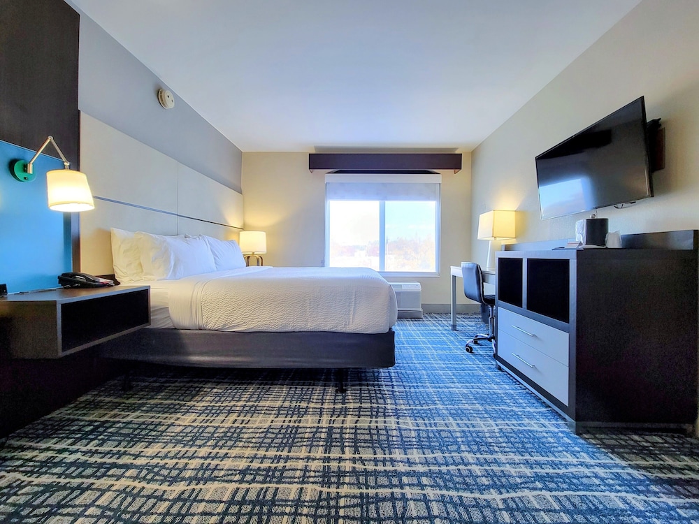 Standard Room, 1 King Bed, Accessible (Communications, Transfer Shower) - Photo 8