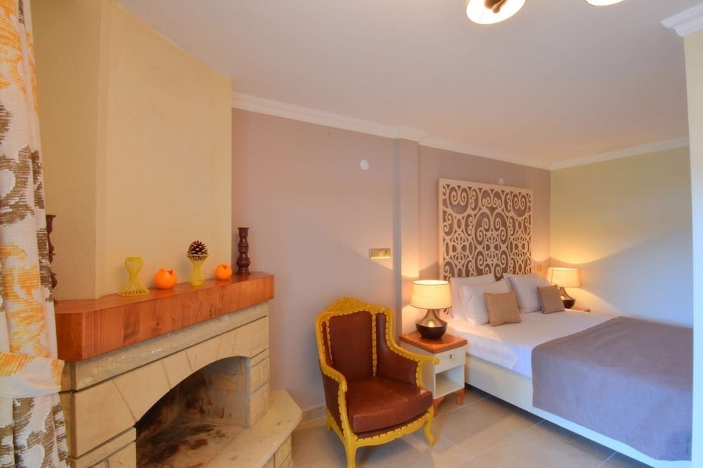 Double Room, Fireplace photo 1