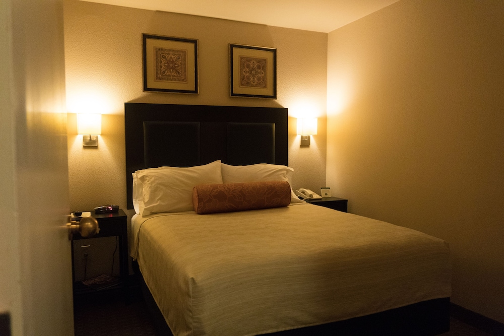 Room, 1 Queen Bed, Accessible photo 2