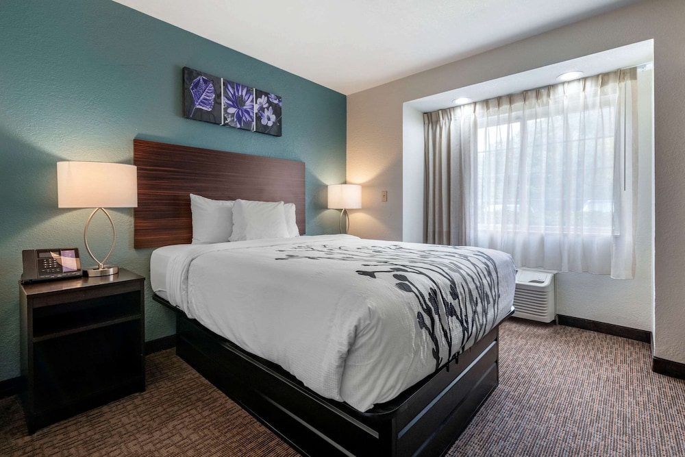 Room, 1 King Bed, Accessible, Non Smoking - Photo 1