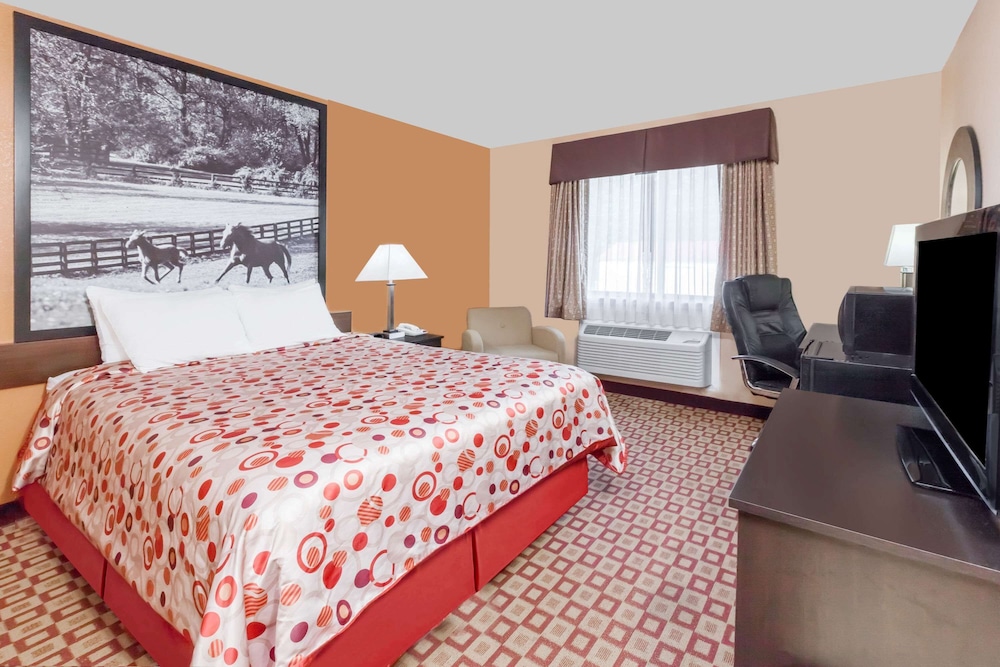 Standard Room, 1 Queen Bed, Refrigerator & Microwave - Photo 2