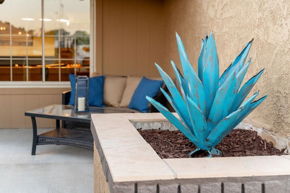 Blue Agave - Tropical Desert Oasis, Billede 32