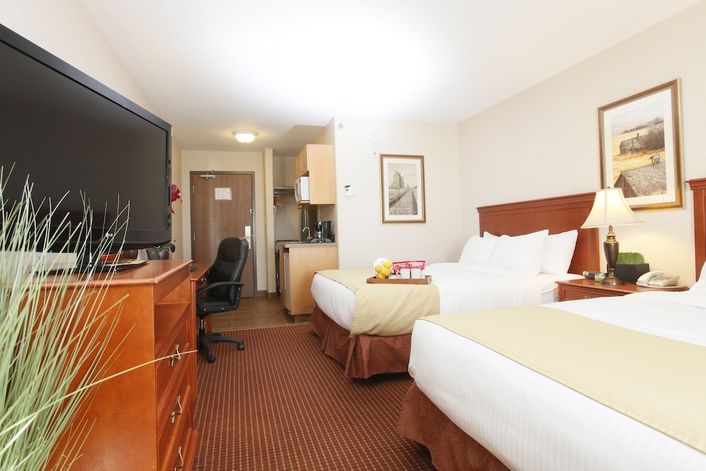 Standard Double Room, 2 Queen Beds photo 3