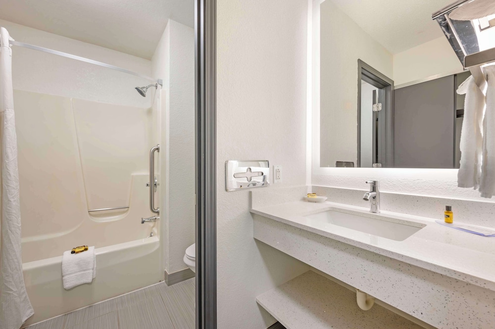 Standard Room, 1 King Bed, Accessible, Bathtub (With Sofabed)