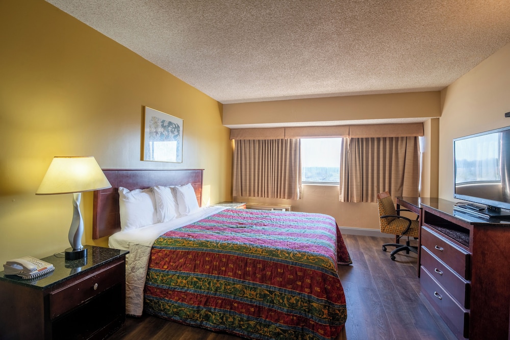 Deluxe Single Room photo 1