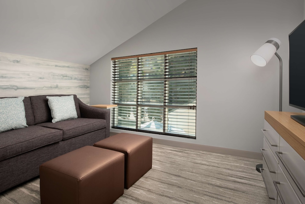 Loft, 1 King Bed with Sofa bed
