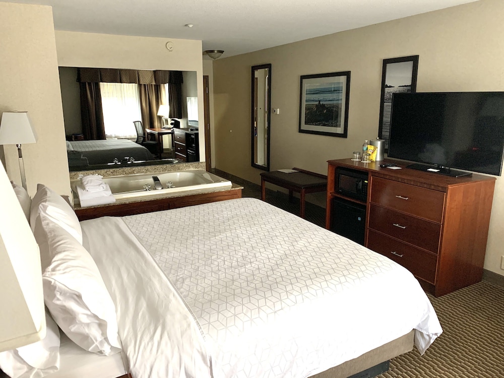 Room, 1 King Bed, Non Smoking, Jetted Tub - Photo 8