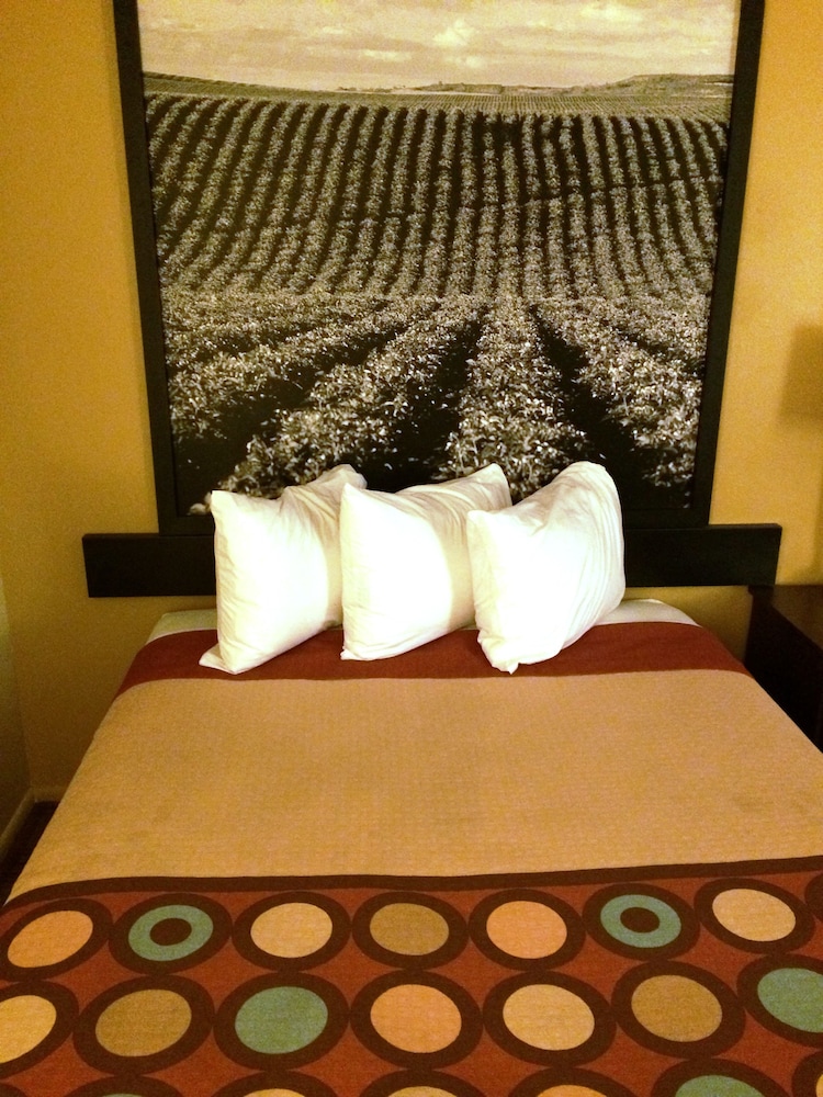 Suite, 1 Queen Bed, Microwave photo 2