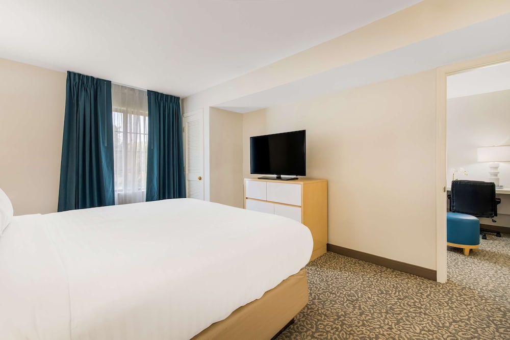 Room, 1 King Bed, Accessible (Roll-In Shower) photo 2