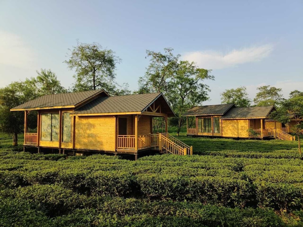 Luxury Chalet, Garden View photo 2