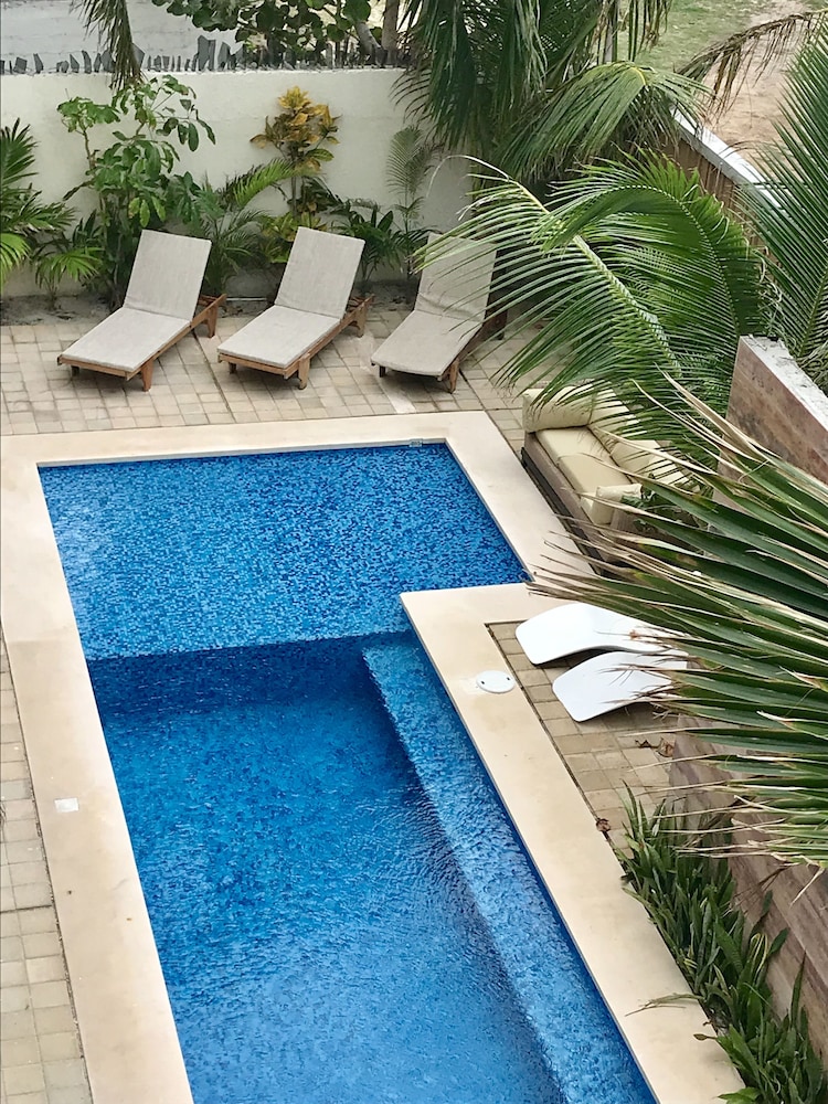 King Garden View - Photo 4