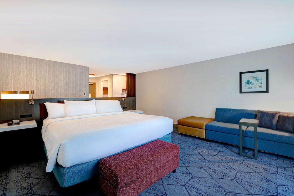 Premium Room, 1 King Bed, Accessible, Bathtub, photo 6