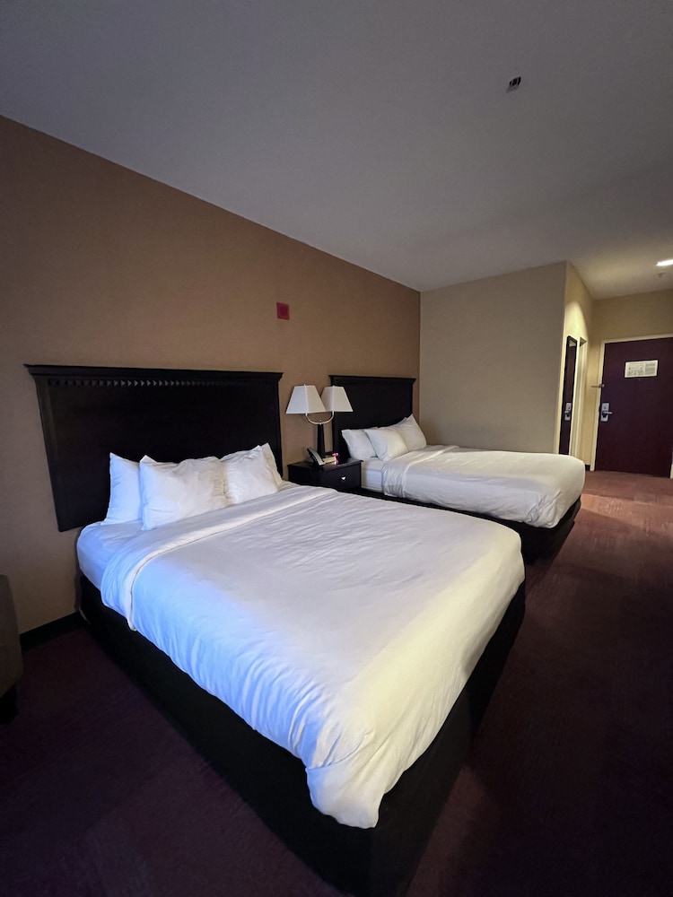 2 Queen Beds Non Smoking photo 2