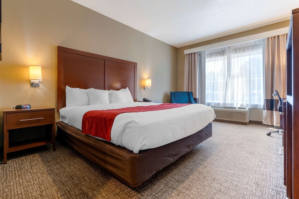Room, 1 King Bed, Accessible, Non Smoking (Mobility, Roll-In Shower) - Photo 1