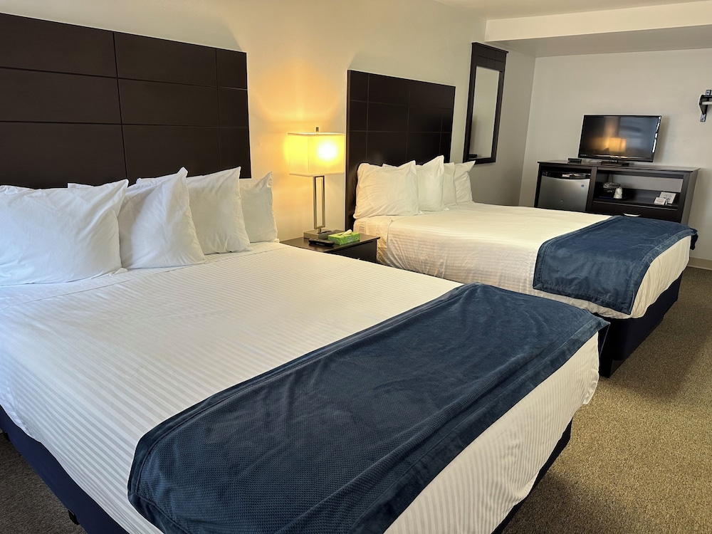 Standard Room, 2 Double Beds