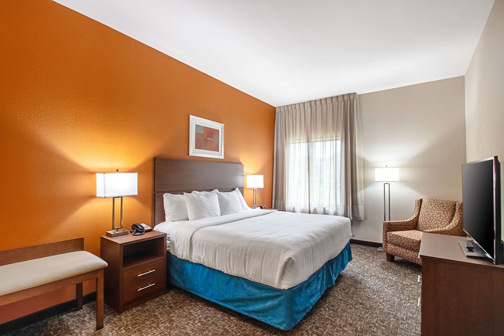 Suite, 1 King Bed, Non Smoking
