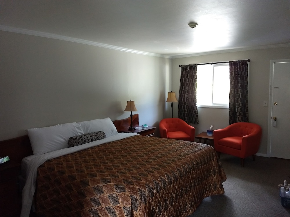Standard Room, 1 King Bed, Mountain View photo 3