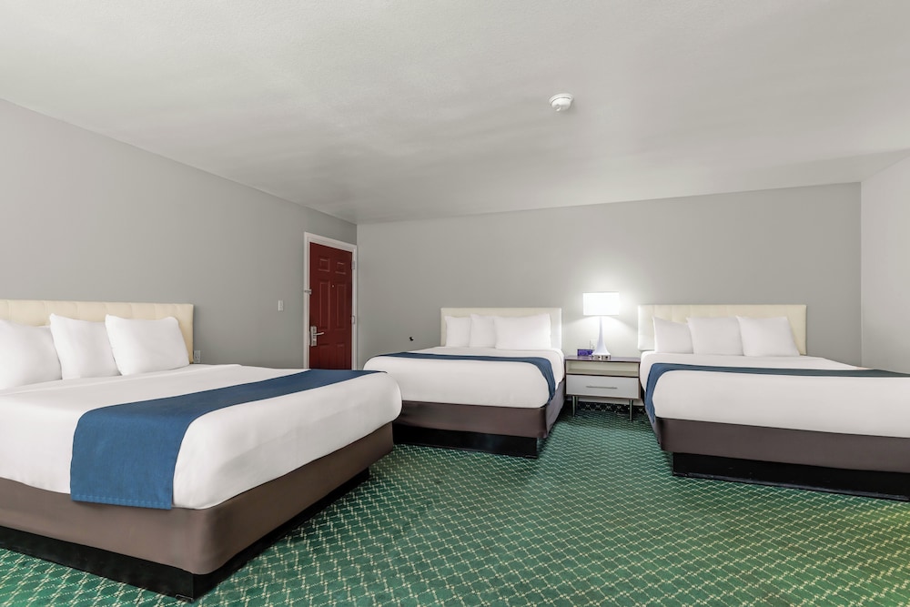 Room, Multiple Beds, Non Smoking - Photo 1