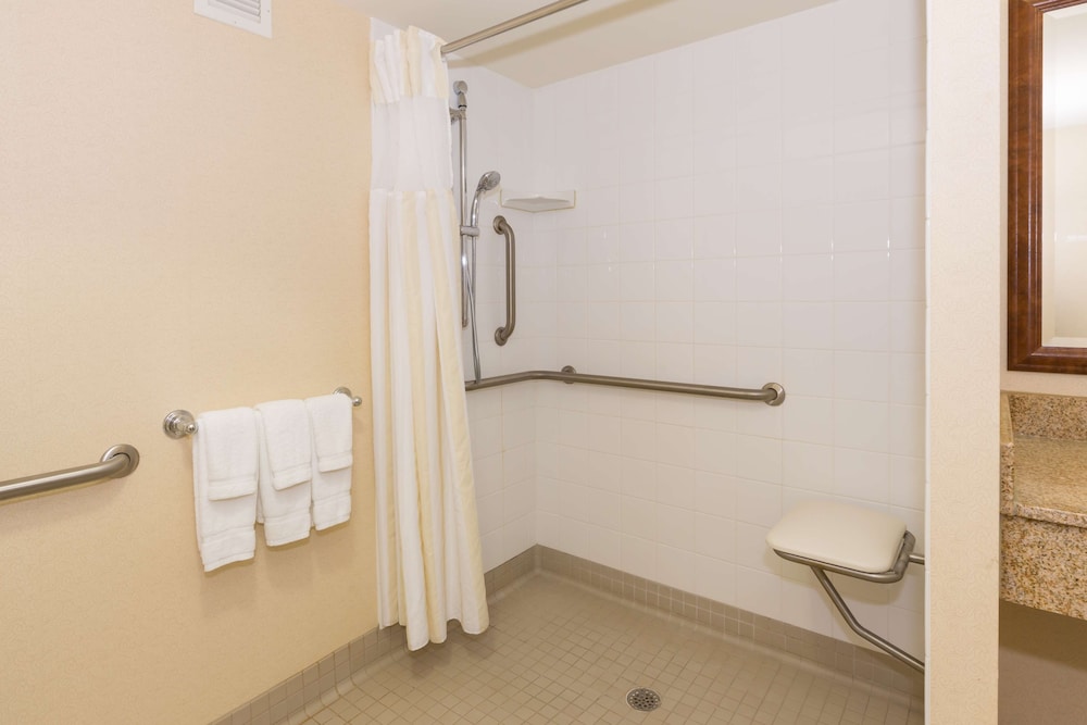 Deluxe Suite, 1 King Bed, Accessible (Roll-In Shower) - Photo 6