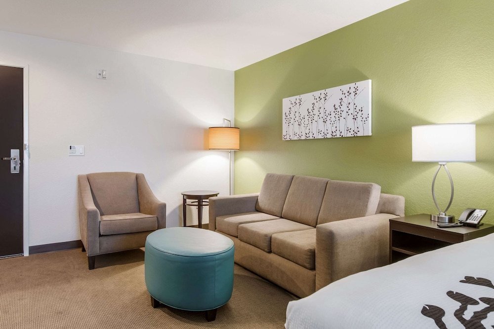 Suite, 1 King Bed, Accessible, Non Smoking - Photo 3