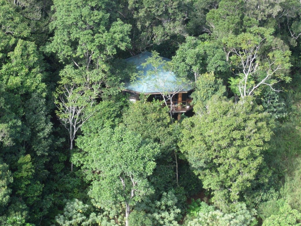 2 Nights Treehouse