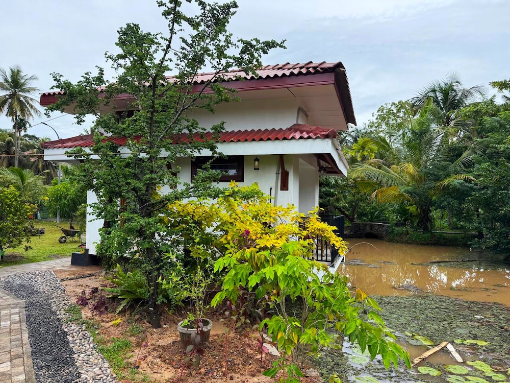 Deluxe Double Room, Lake View, Lakeside photo 1