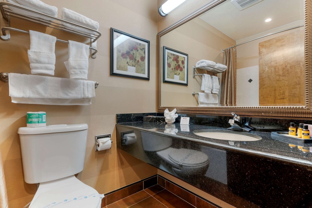 Standard Room, 1 King Bed, Non Smoking, Refrigerator & Microwave - Photo 10