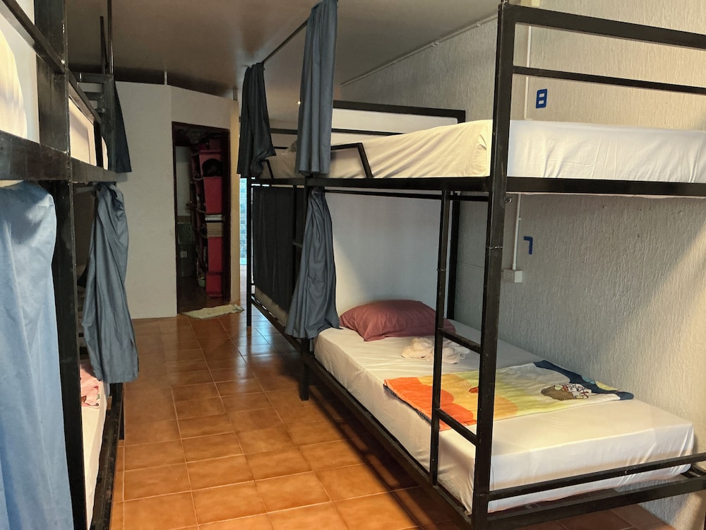 Basic Shared Dormitory photo 3