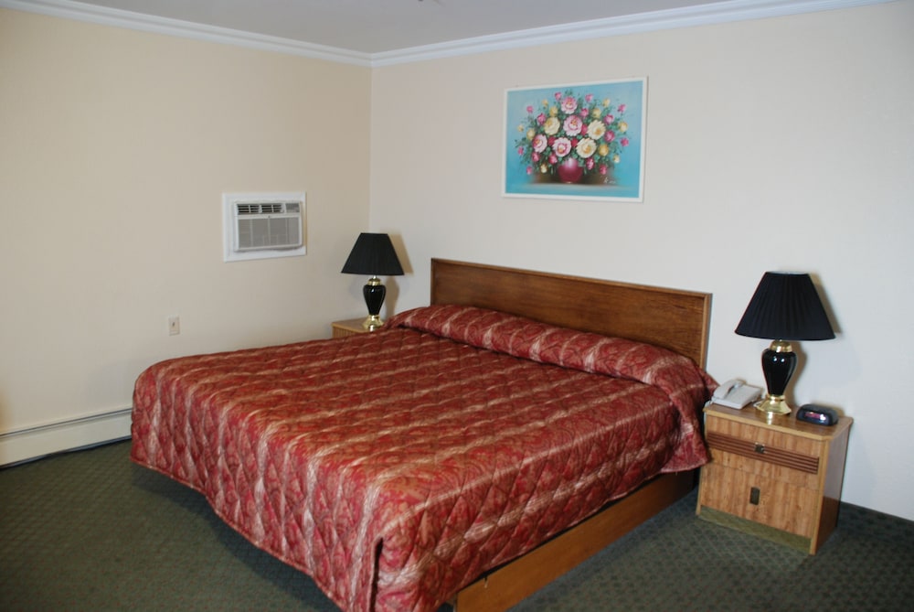 Standard Room, 1 King Bed, Kitchenette - Photo 2