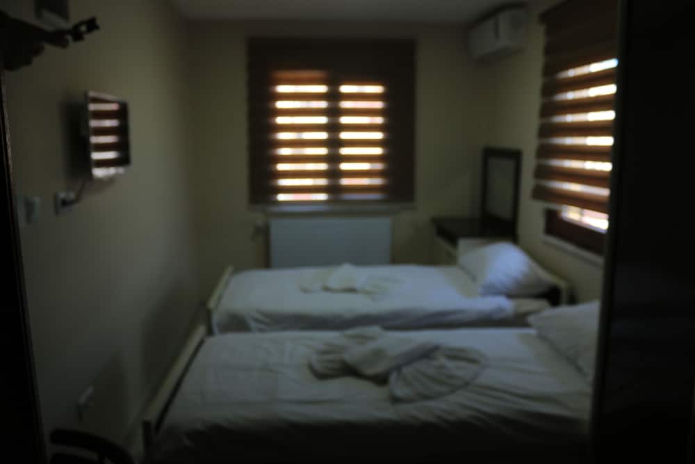 Standard Twin Room photo 2