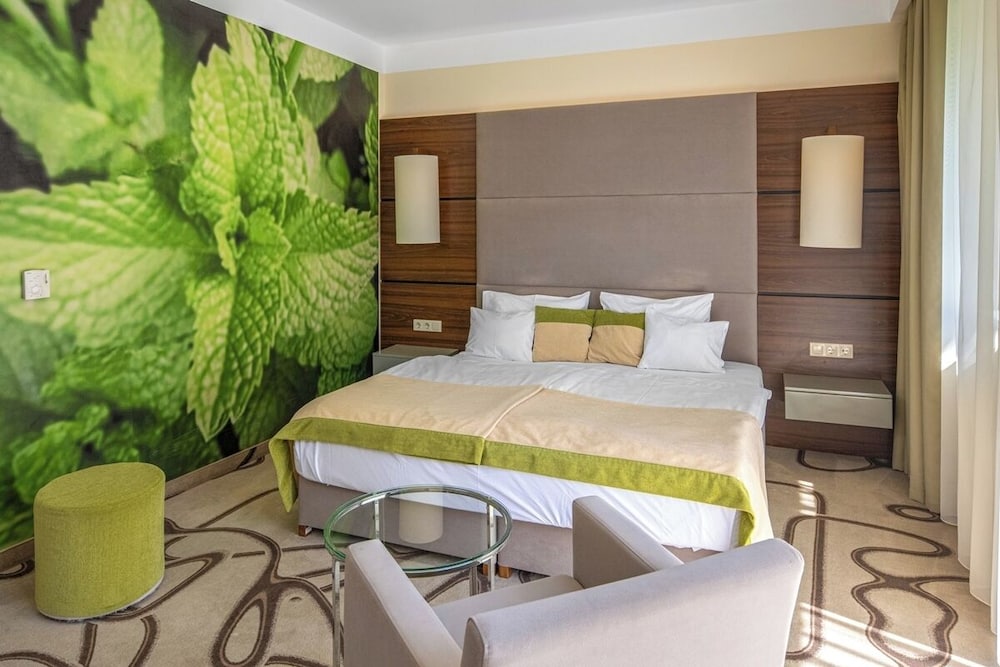 Superior Double Room, 1 Double Bed, Non Smoking photo 3