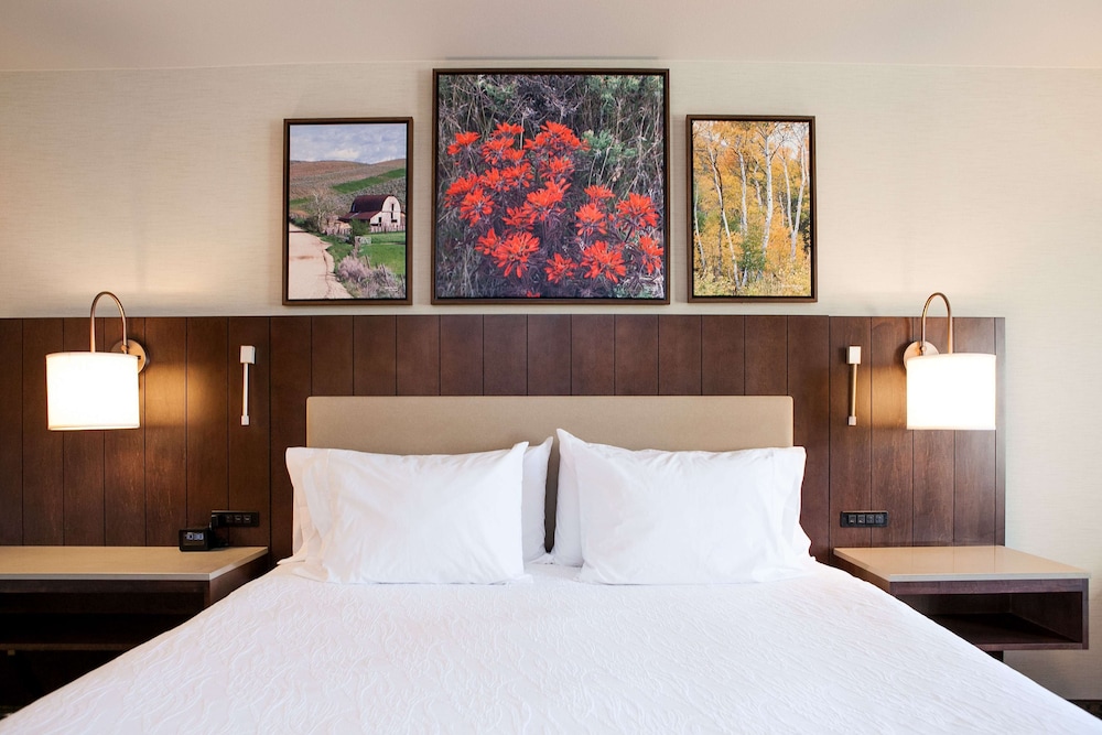 One King Bed River View photo 3