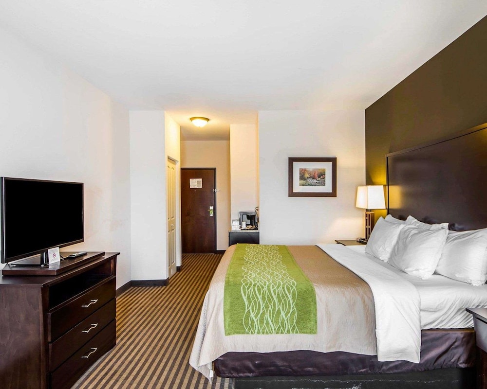 Standard Room, 1 King Bed, Non Smoking photo 2